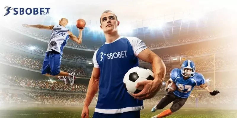 Giao diện mới sbobet đẹp mắt, ấn tượng với tất cả người chơi 