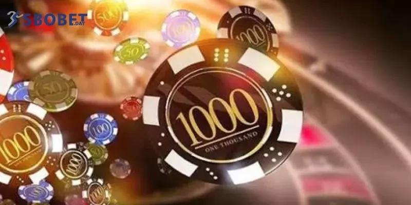 Những chiến thuật chơi hiệu quả giúp bạn đặt cược chính xác 