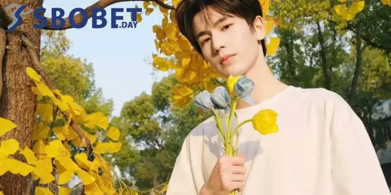 Những thành tựu của tác giả Nguyễn Hoài Bão trong ngành giải trí trực tuyến